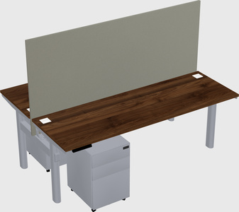 Shared electric desk
