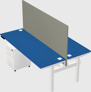 Shared electric desk