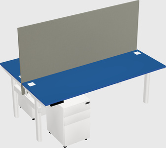 Shared electric desk