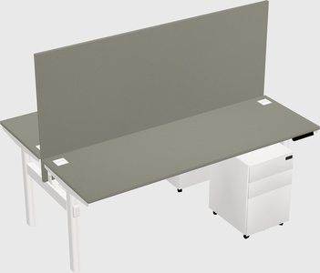 Shared electric desk