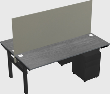 Shared electric desk