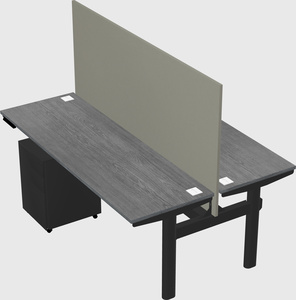 Shared electric desk
