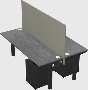 Shared electric desk