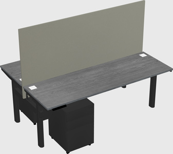 Shared electric desk