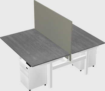 Shared electric desk