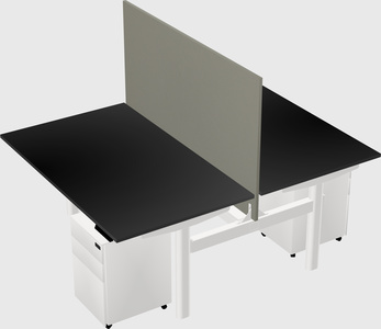 Shared electric desk