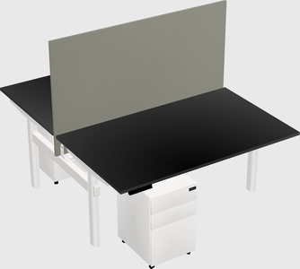 Shared electric desk