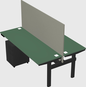 Shared electric desk