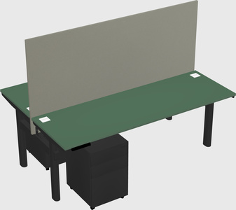 Shared electric desk