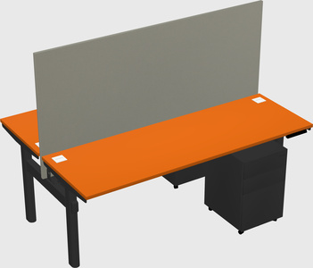 Shared electric desk