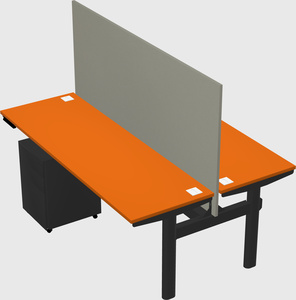 Shared electric desk