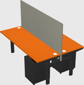 Shared electric desk