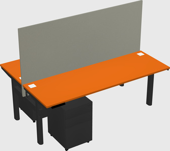 Shared electric desk