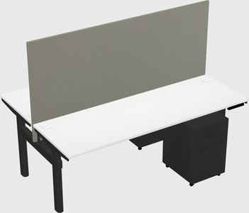 Shared electric desk