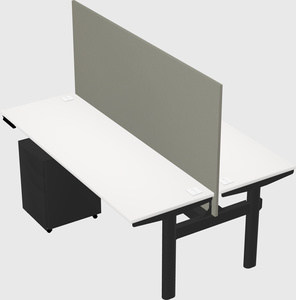 Shared electric desk