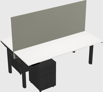 Shared electric desk