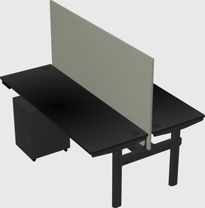 Shared electric desk