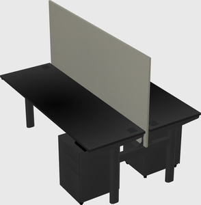 Shared electric desk