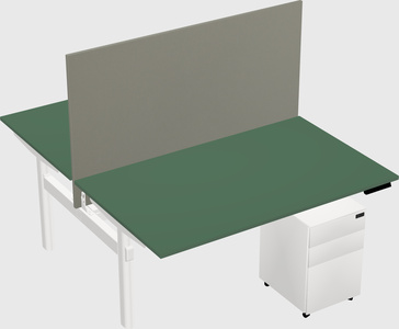 Shared electric desk