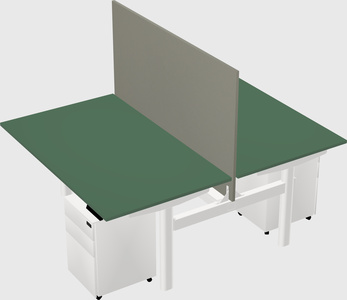 Shared electric desk