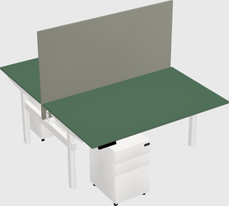 Shared electric desk