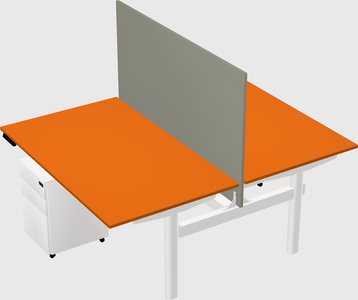 Shared electric desk