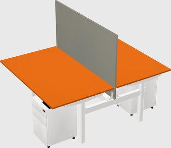 Shared electric desk