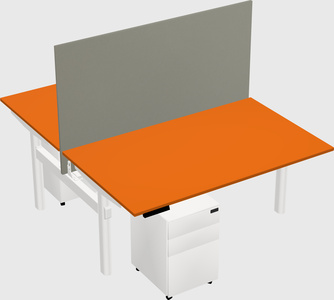 Shared electric desk