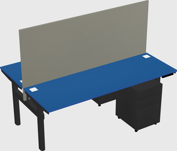 Shared electric desk