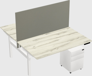 Shared electric desk