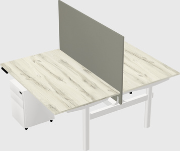 Shared electric desk