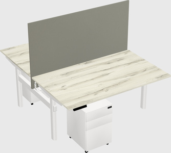 Shared electric desk