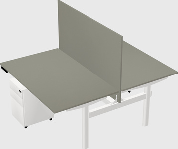 Shared electric desk