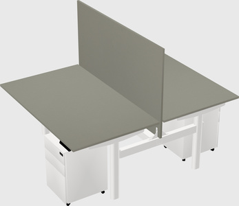 Shared electric desk