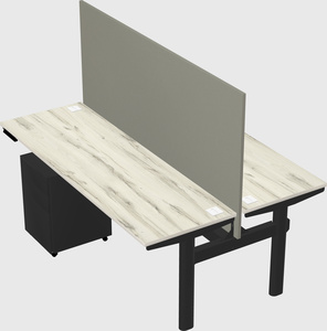 Shared electric desk