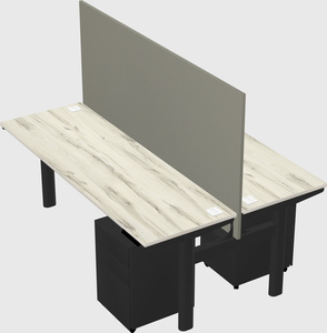 Shared electric desk
