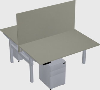 Shared electric desk