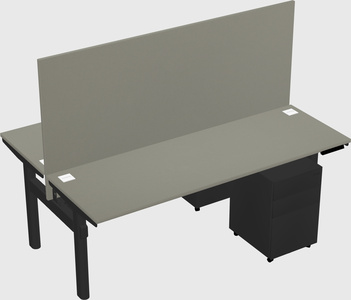Shared electric desk