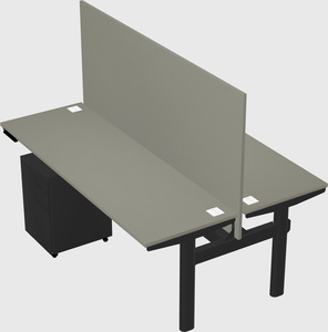 Shared electric desk