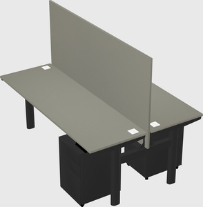 Shared electric desk
