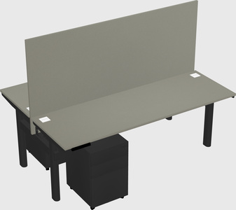 Shared electric desk