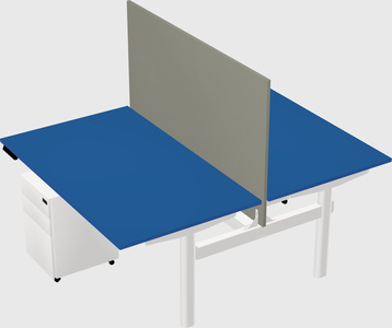 Shared electric desk