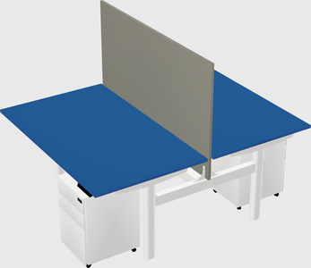 Shared electric desk