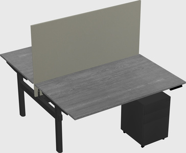 Shared electric desk
