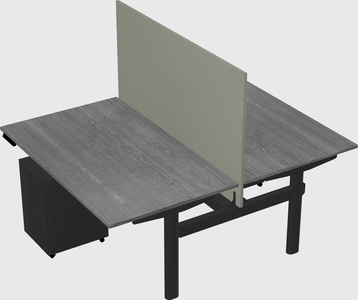 Shared electric desk