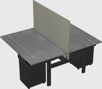Shared electric desk