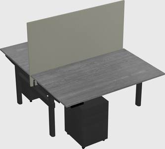 Shared electric desk