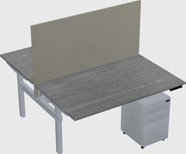Shared electric desk