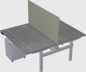 Shared electric desk