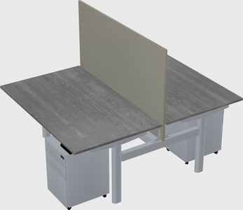 Shared electric desk